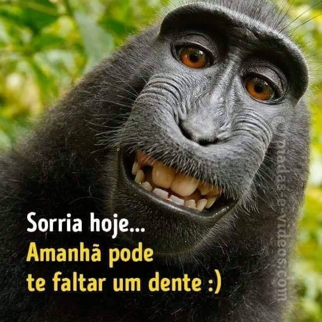 pregunta de listado